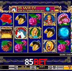85BET Rio de Janeiro - Bonus Terms