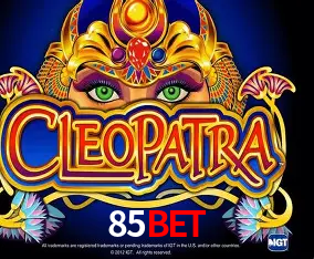 85BET Curitiba - Live Status